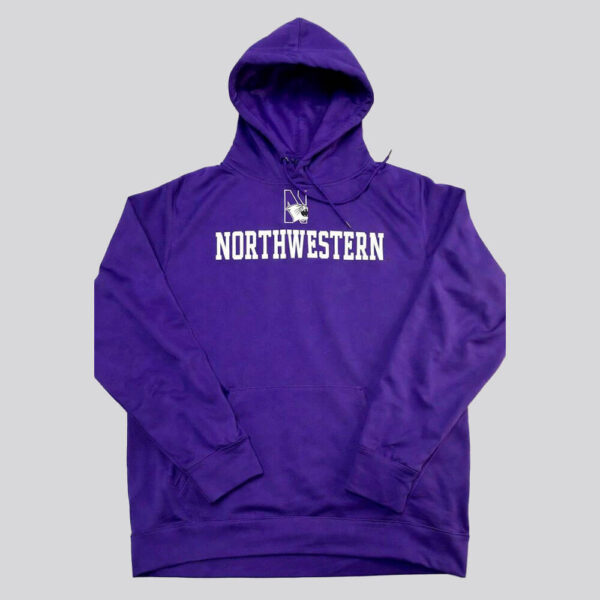 Hoodie Northwestern Wildcats NCAA | Talla XL