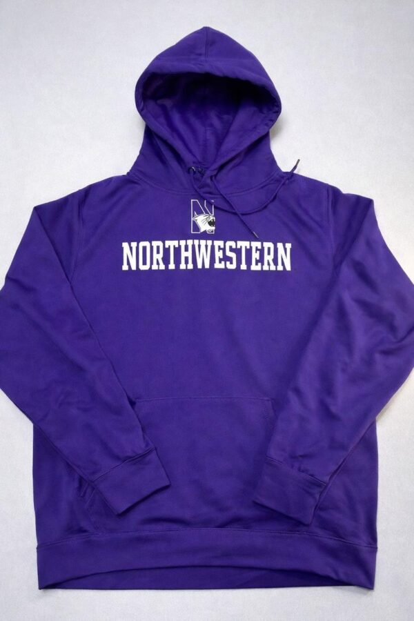 Northwestern Wildcats Hoodie NCAA Talla XL
