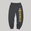 Conjunto Florida State Seminoles Sudadera y Pants Azul Marino - Talla S (Importado USA)