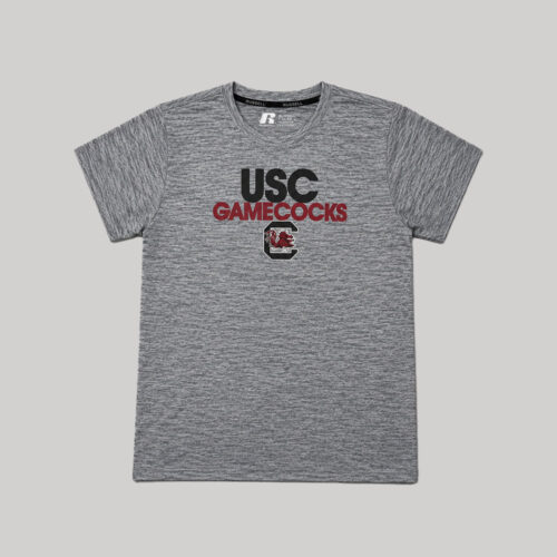 Playera South Carolina Gamecocks Russell Gris - Talla S (Importado USA)