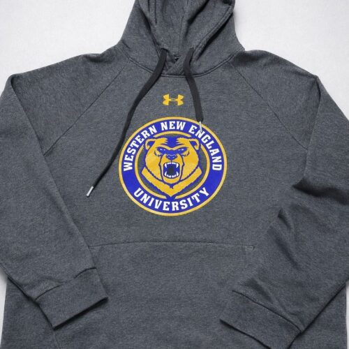 wne-m-01-1 Hoodie NCAA Western New England Golden Bears Under Armour - Talla M (Importado USA)