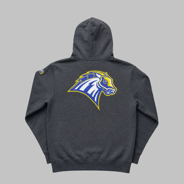 University of New Haven Chargers Hoodie M - Champion