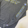 University of New Haven Chargers Hoodie M - Champion