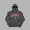 Florida-State-University-Seminoles-Champion-Hoodie-Talla-M Sudadera Florida State Seminoles Champion – Talla M